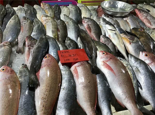 这鱼只能买到鱼头 鱼身子到哪里去了 想不到我们吃的都是边角料